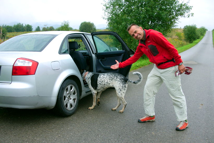 mata trixie dla psa samochód test
