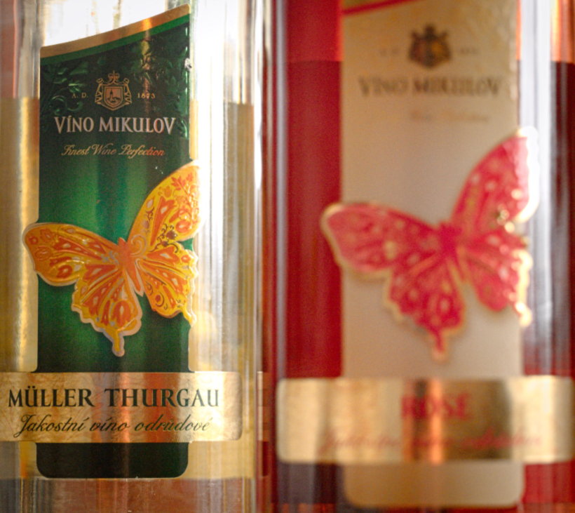 białe wino dla kobiety czeskie motylek