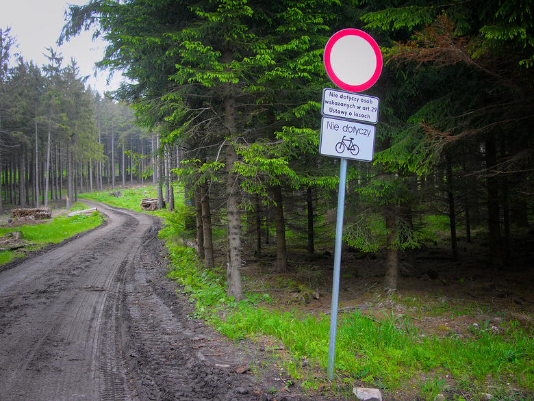 zakaz pojazdów lesie