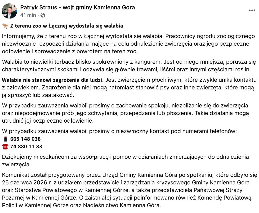 walabia Łączna Gorzeszów